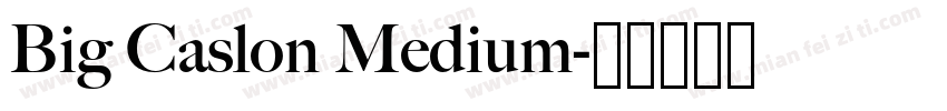 Big Caslon Medium字体转换